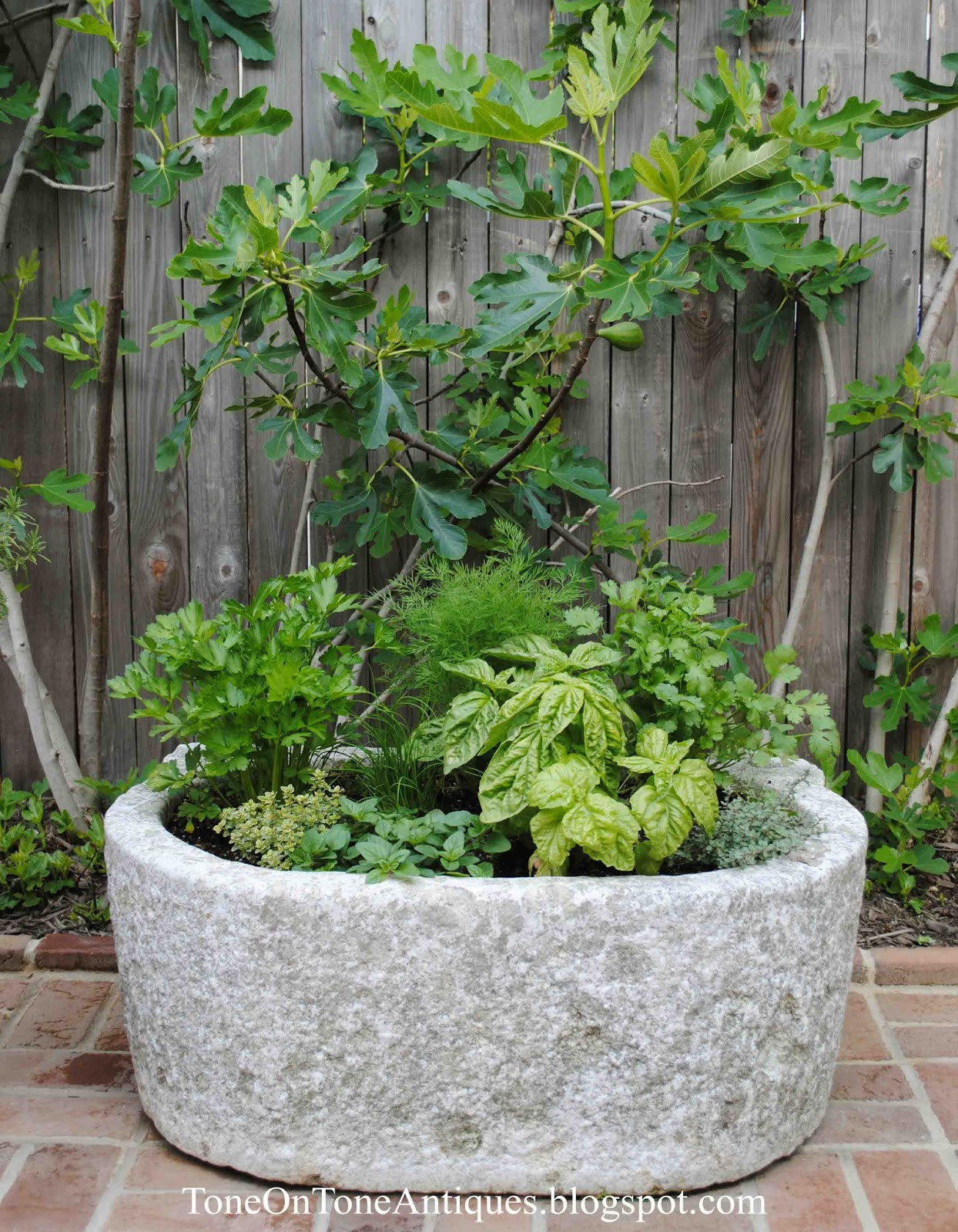 Best ideas about Herb Garden Planter
. Save or Pin Tone on Tone A Trough Herb Planter Now.