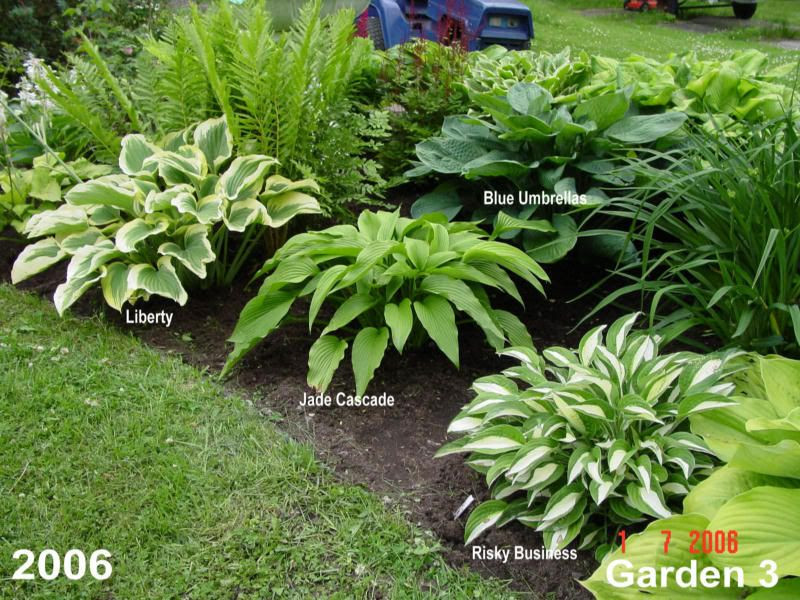Best ideas about Hosta Garden Ideas
. Save or Pin Great idea to identify my plants Take the pics then add Now.