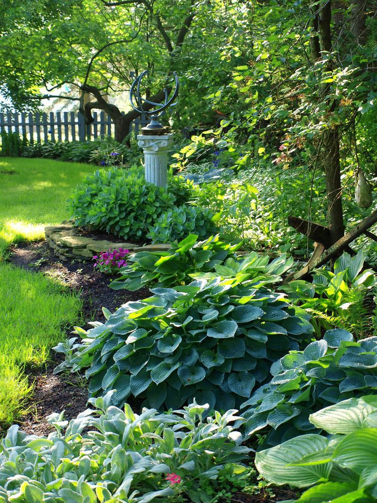 Best ideas about Hosta Garden Ideas
. Save or Pin Flickr Hostas garden ideas Now.