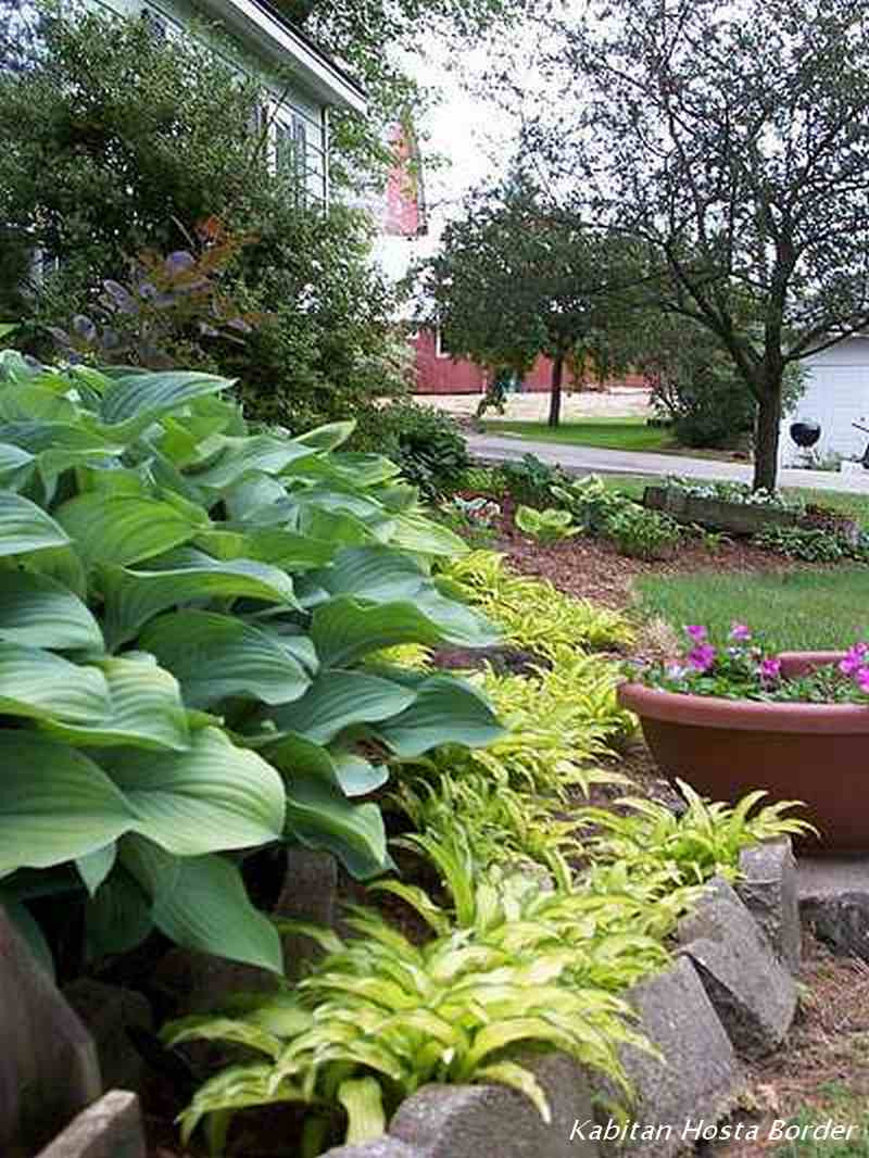 Best ideas about Hosta Garden Ideas
. Save or Pin Design Ideas for Hosta Gardens — Favorite Perennials Now.