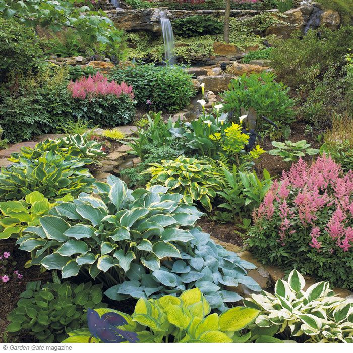 Best ideas about Hosta Garden Ideas
. Save or Pin 25 best ideas about Hosta Gardens on Pinterest Now.