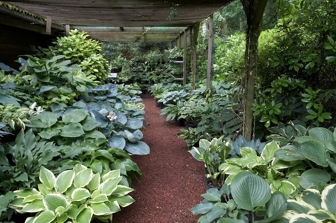 Best ideas about Hosta Garden Ideas
. Save or Pin Landscape Focused landscape garden design ideas Now.