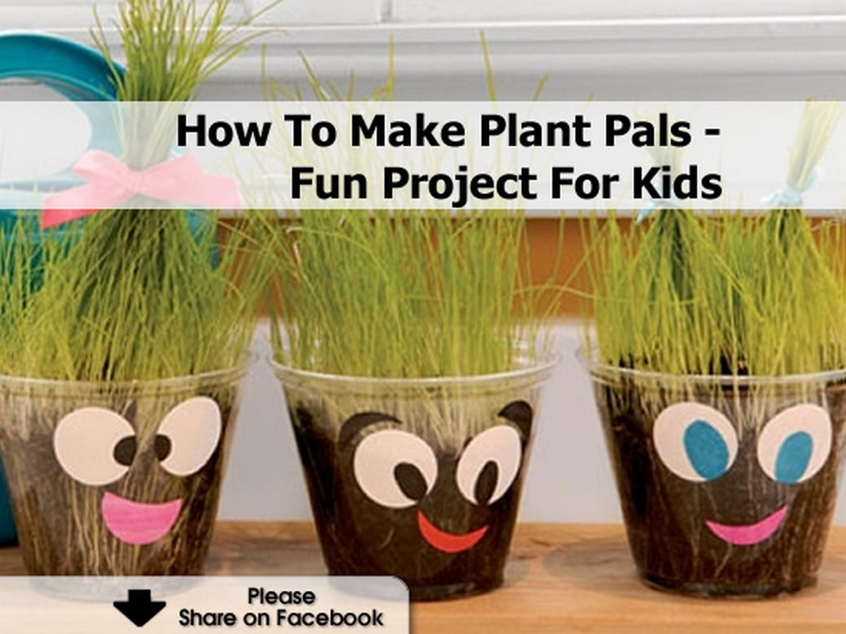 Best ideas about How To Projects For Kids
. Save or Pin How To Make Plant Pals Fun Project For Kids Now.