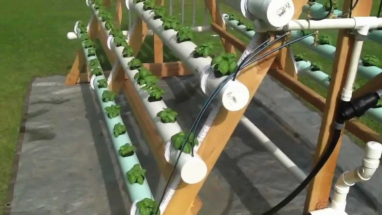 Best ideas about Hydroponic DIY Plans
. Save or Pin Homemade vertical A Frame hydroponic system Now.