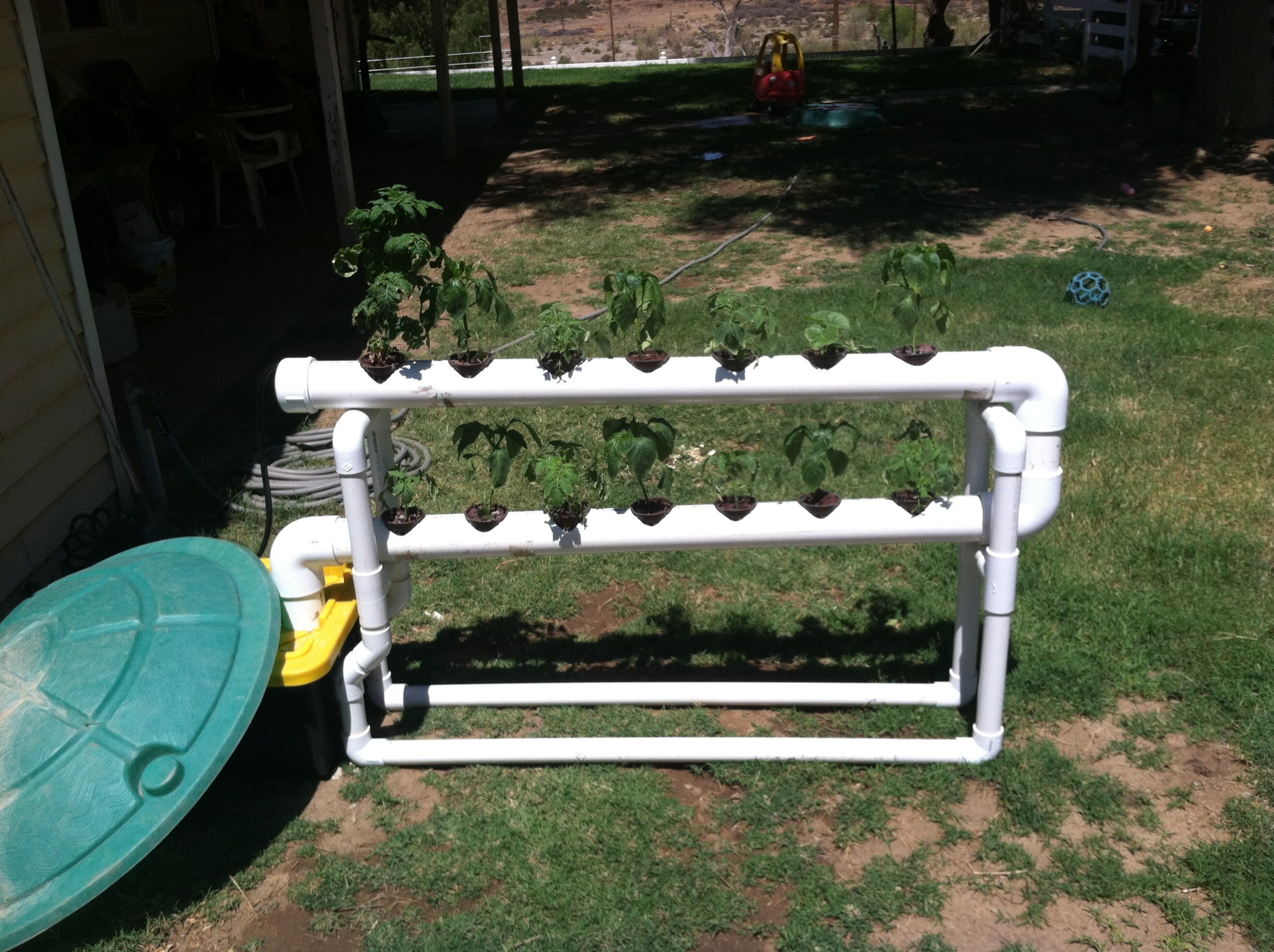 Best ideas about Hydroponic DIY Plans
. Save or Pin Week 2 DIY NFT hydroponics My NFT system Now.