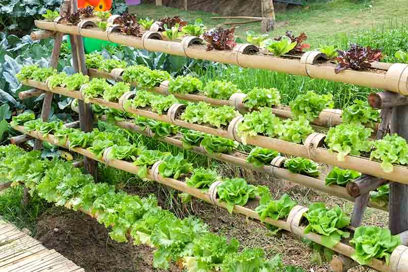 Best ideas about Hydroponic DIY Plans
. Save or Pin 16 Easy DIY Hydroponic Plans You Can Build in Your Garden Now.