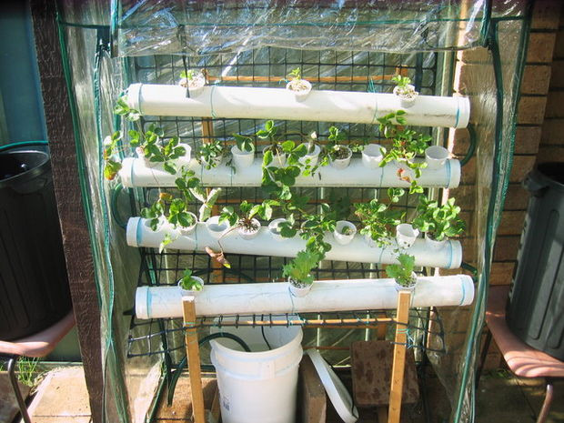 Best ideas about Hydroponic DIY Plans
. Save or Pin DIY Hydroponics Now.