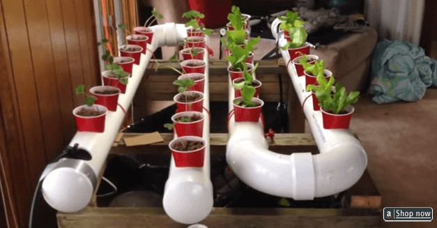 Best ideas about Hydroponic DIY Plans
. Save or Pin How To DIY PVC Hydroponics Gardening For Awesome Results Now.
