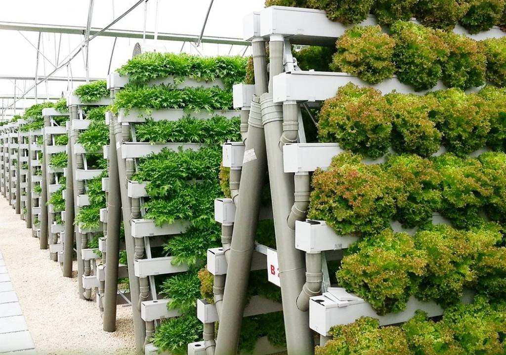 Best ideas about Hydroponic DIY Plans
. Save or Pin How to DIY Hydroponics — Harper Noel Homes Now.