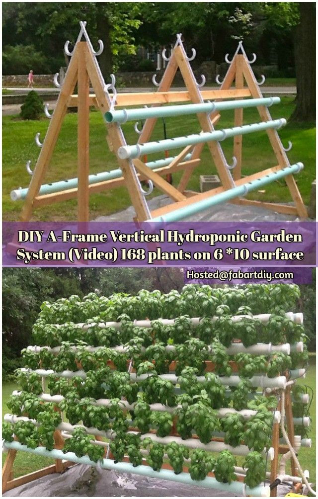Best ideas about Hydroponic DIY Plans
. Save or Pin s This A frame hydroponic garden system is a great Now.