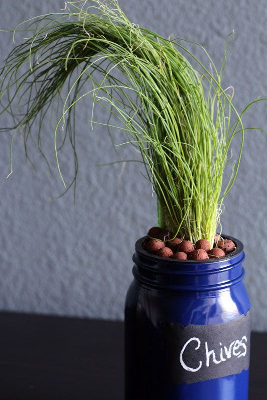 Best ideas about Hydroponic Herb Garden DIY
. Save or Pin Chives DIY Hydroponic Mason Jar Herb Garden Kit by Now.