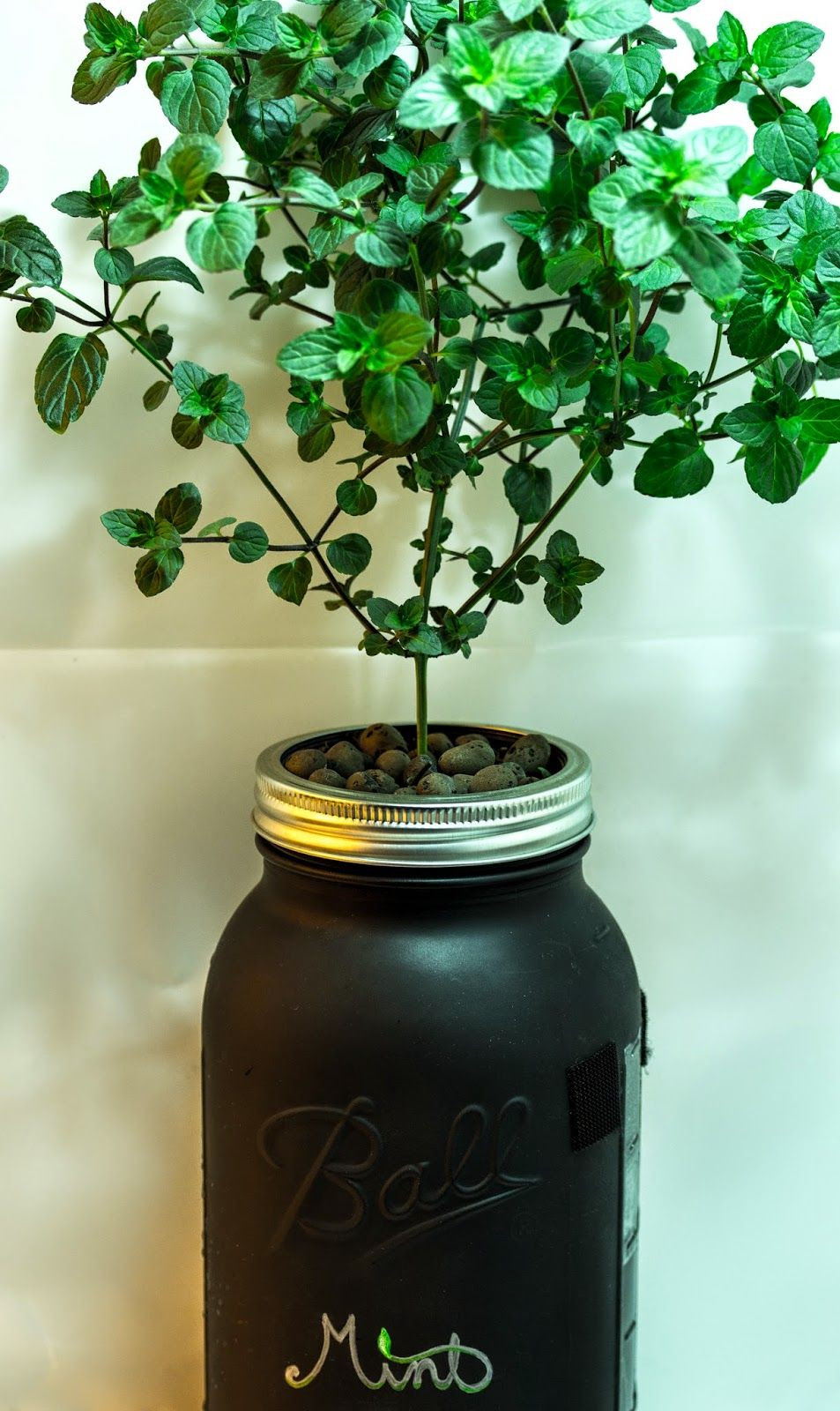 Best ideas about Hydroponic Herb Garden DIY
. Save or Pin Macro Garden DIY Mason Jar Non Circulating Hydroponics Now.
