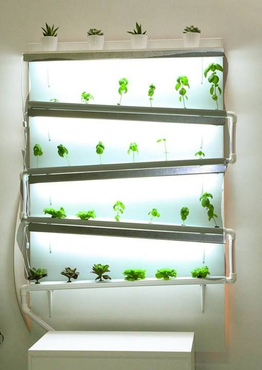 Best ideas about Hydroponic Herb Garden DIY
. Save or Pin Best 25 Hydroponics ideas only on Pinterest Now.