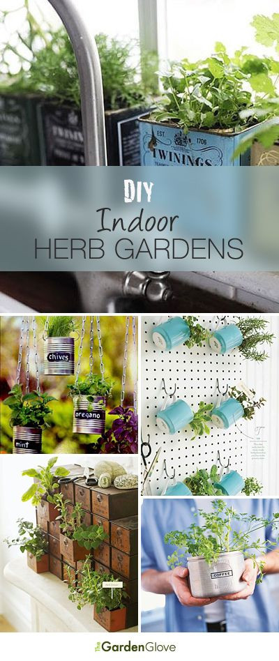 Best ideas about Hydroponic Herb Garden DIY
. Save or Pin DIY Indoor Herb Gardens Now.