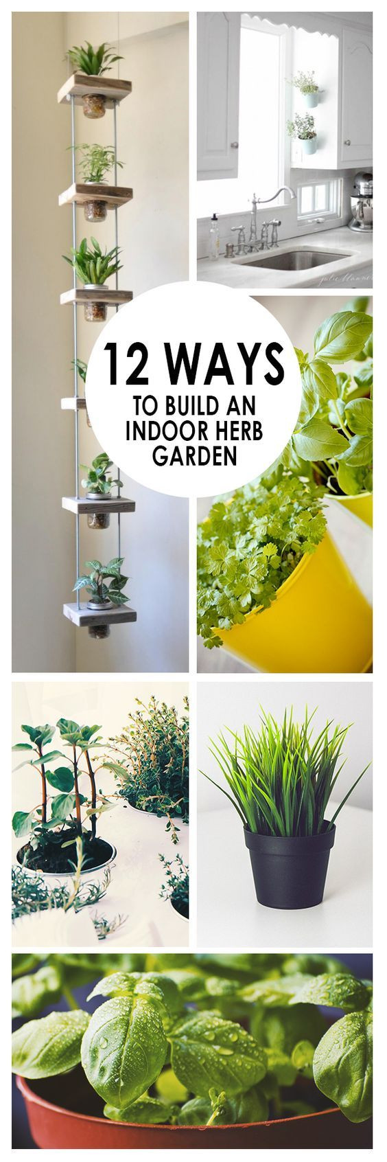 Best ideas about Hydroponic Herb Garden DIY
. Save or Pin Best 25 Hydroponic herb garden ideas on Pinterest Now.