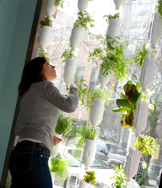 Best ideas about Hydroponic Herb Garden DIY
. Save or Pin Best 25 Indoor window garden ideas on Pinterest Now.