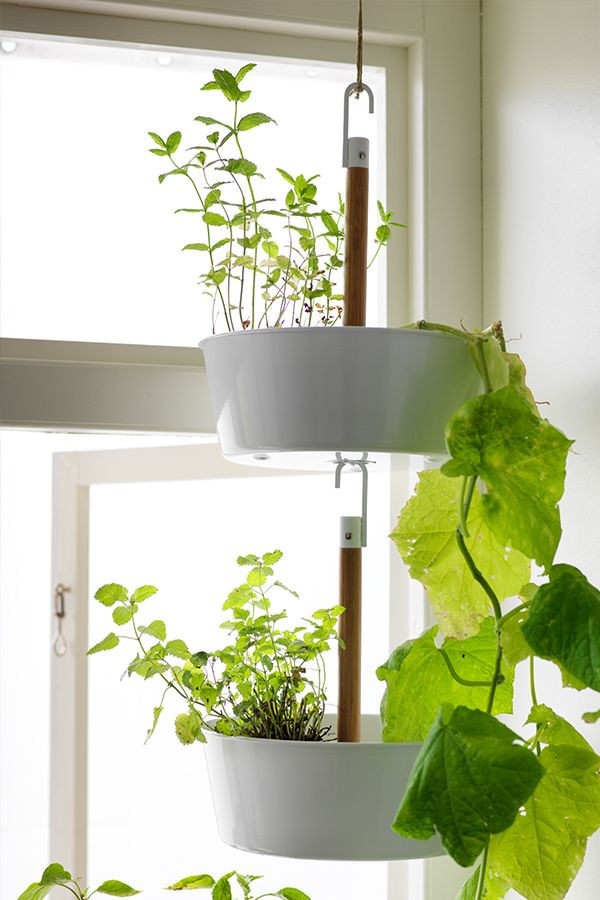 Best ideas about Ikea Outdoor Planters
. Save or Pin BITTERGURKA Hanging planter white IKEA Fan Faves Now.