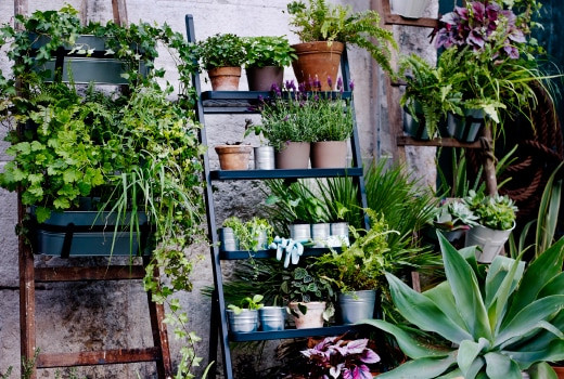 Best ideas about Ikea Outdoor Planters
. Save or Pin Plants Pots & Gardening Tools IKEA Now.
