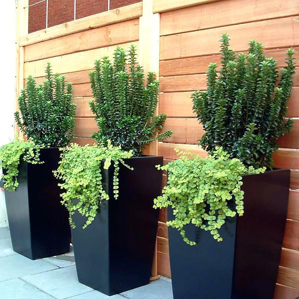 Best ideas about Ikea Outdoor Planters
. Save or Pin ikea outdoor planters – helloblon Now.
