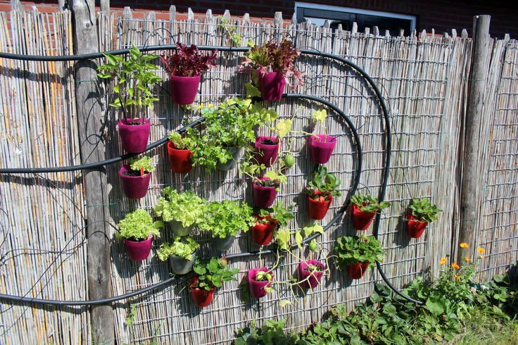 Best ideas about Ikea Vertical Garden
. Save or Pin Vertical garden using IKEA Bygel containers for herbs Now.