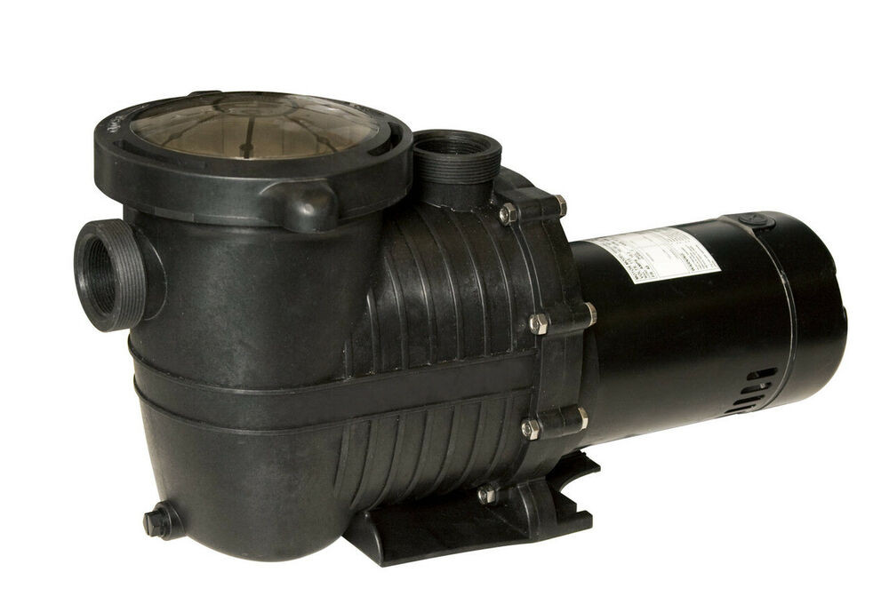 Best ideas about In Ground Pool Pump
. Save or Pin 2 SPEED 1HP ECONOMY PUMP for SMALL or LARGE ABOVE GROUND Now.