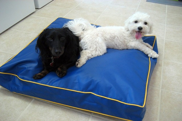 Best ideas about Indestructible Dog Bed DIY
. Save or Pin Indestructible dog bed diy Bed Home Design Ideas Now.