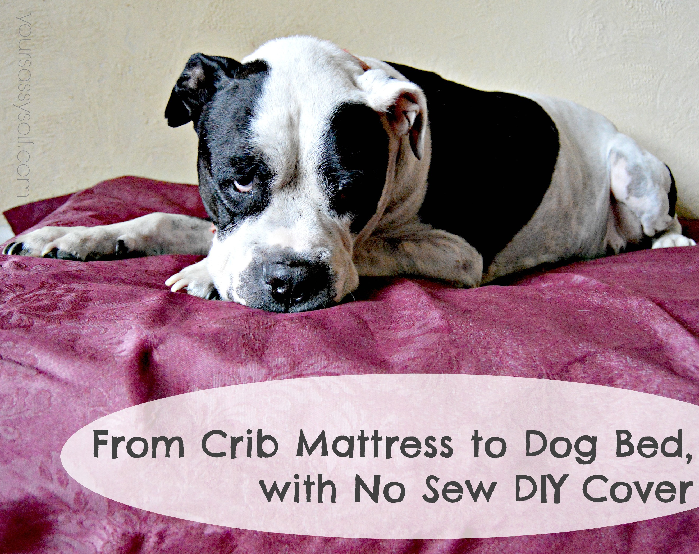 Best ideas about Indestructible Dog Bed DIY
. Save or Pin From Crib Mattress to Dog Bed with No Sew DIY Cover Now.