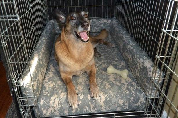 Best ideas about Indestructible Dog Bed DIY
. Save or Pin Super fy Dog Kennel Bed Now.