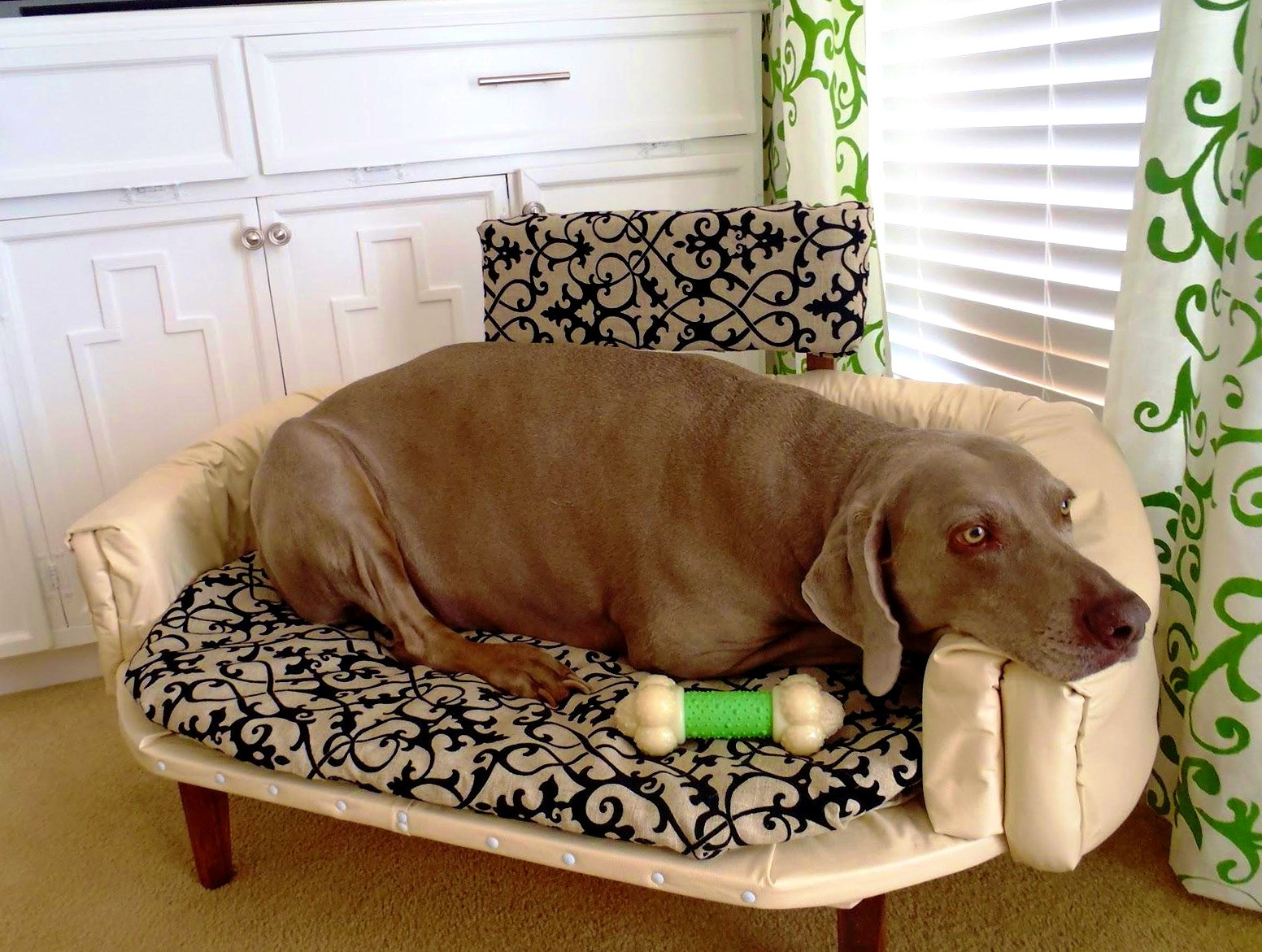 Best ideas about Indestructible Dog Bed DIY
. Save or Pin Indestructible Dog Bed Best Quality — Bravasdogs Home Blog Now.