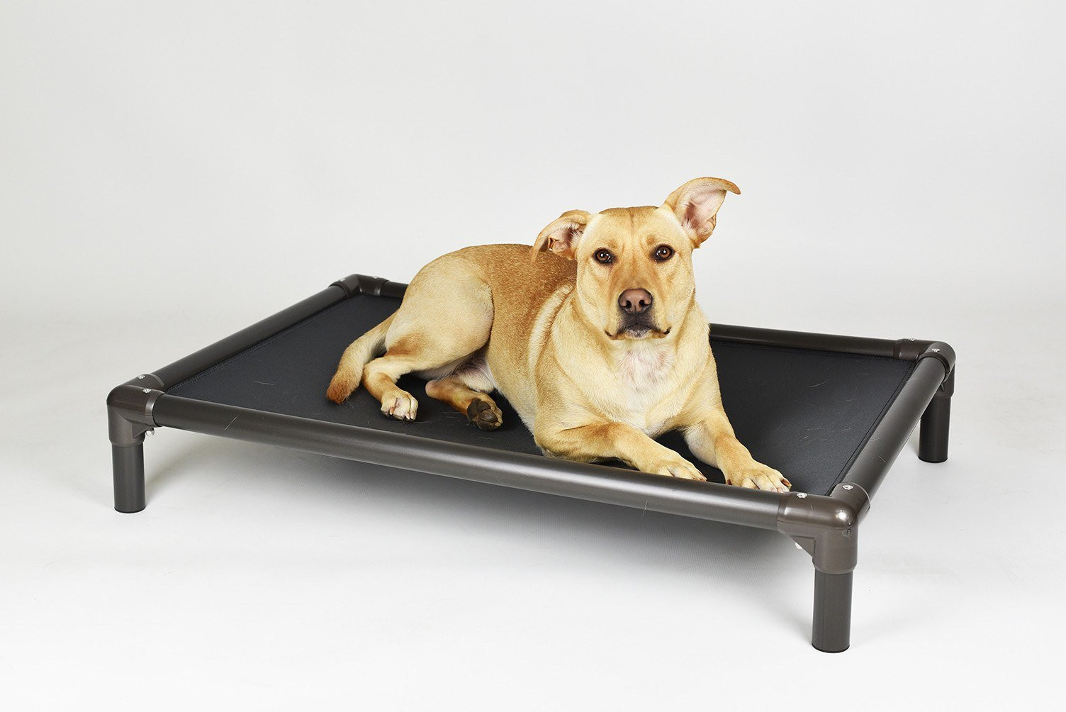 Best ideas about Indestructible Dog Bed DIY
. Save or Pin Kuranda Bed – Hollywood Feed Now.