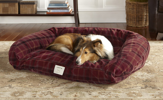 Best ideas about Indestructible Dog Bed DIY
. Save or Pin Chew Resistant Dog Beds Deep Dish ToughChew Dog Bed Now.