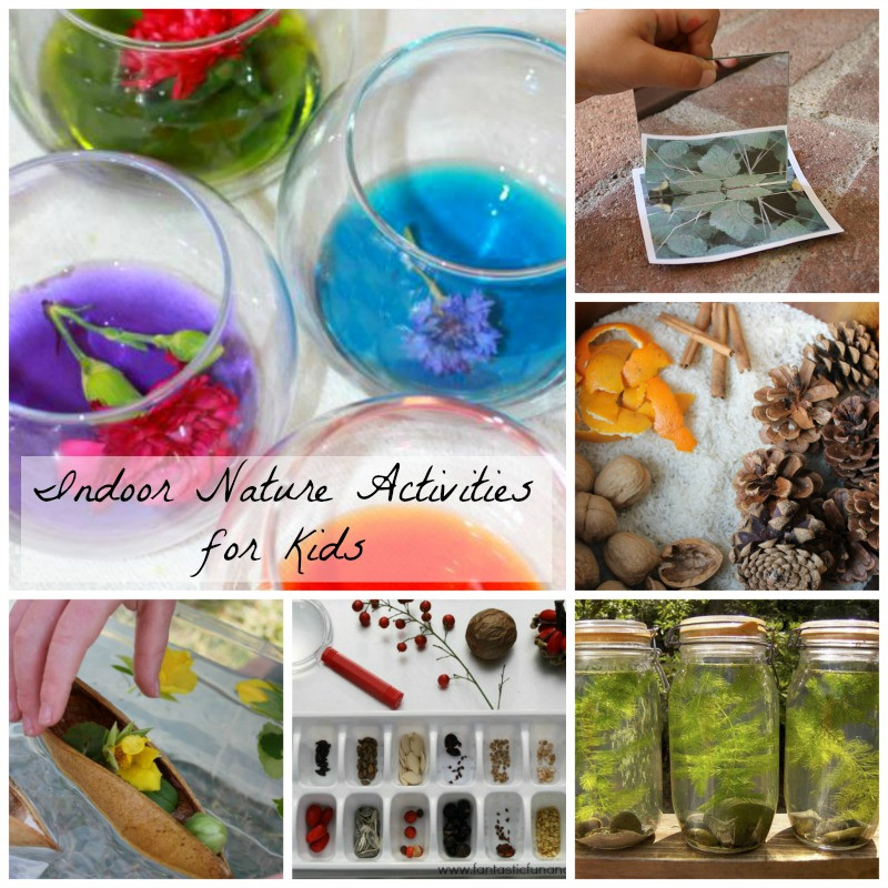 Best ideas about Indoor Crafts For Kids
. Save or Pin Indoor Nature Activities for Kids How Wee Learn Now.