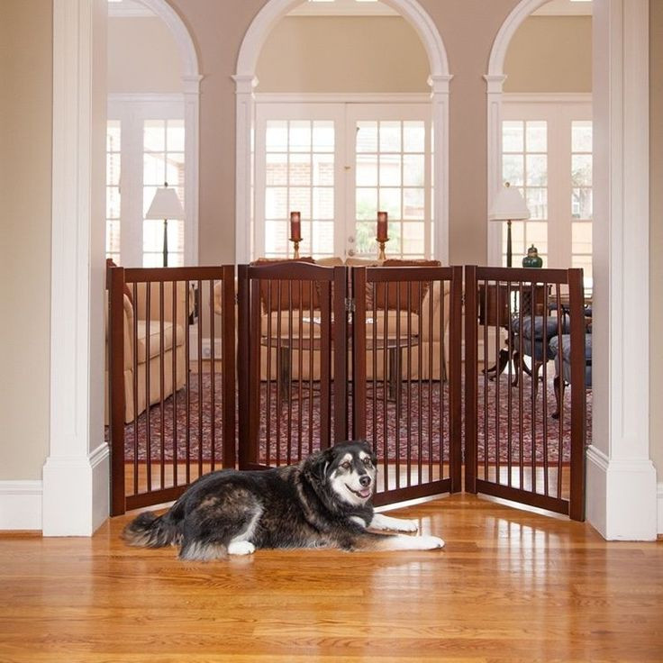 Best ideas about Indoor Dog Fence DIY
. Save or Pin Best 25 Indoor dog gates ideas on Pinterest Now.