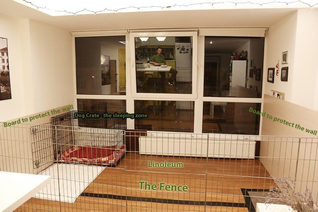 Best ideas about Indoor Dog Fence DIY
. Save or Pin How To Build A Dog Kennel Pen Indoors At Home German Now.