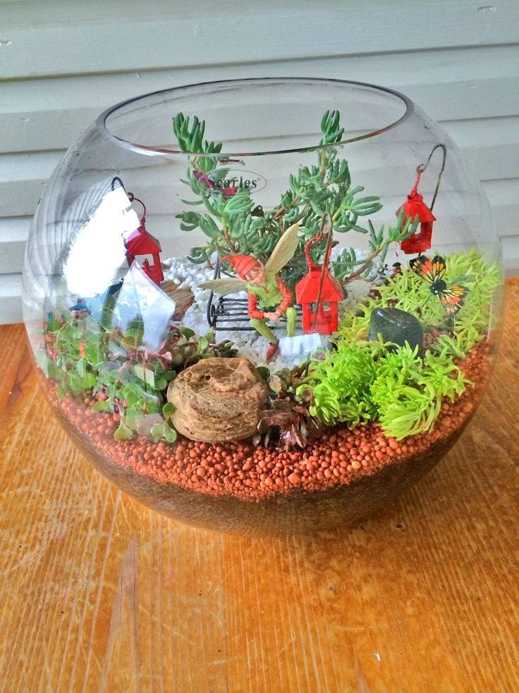 Best ideas about Indoor Fairy Garden Ideas
. Save or Pin 25 best ideas about Indoor Fairy Gardens on Pinterest Now.