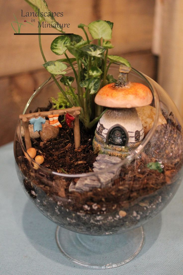 Best ideas about Indoor Fairy Garden Ideas
. Save or Pin Best 25 Indoor fairy gardens ideas on Pinterest Now.