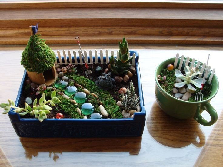 Best ideas about Indoor Fairy Garden Ideas
. Save or Pin Indoor fairy garden and teacup garden Now.