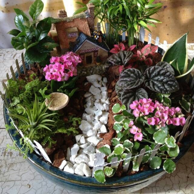 Best ideas about Indoor Fairy Garden Ideas
. Save or Pin 25 best ideas about Indoor Fairy Gardens on Pinterest Now.