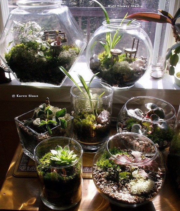 Best ideas about Indoor Fairy Garden Ideas
. Save or Pin 40 Smart Mini Indoor Garden Ideas Bored Art Now.