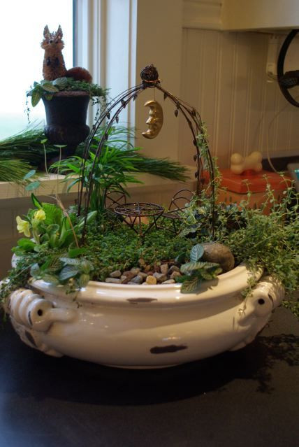 Best ideas about Indoor Fairy Garden Ideas
. Save or Pin 25 best ideas about Indoor fairy gardens on Pinterest Now.