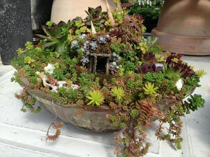 Best ideas about Indoor Fairy Garden Ideas
. Save or Pin Best 25 Indoor fairy gardens ideas on Pinterest Now.