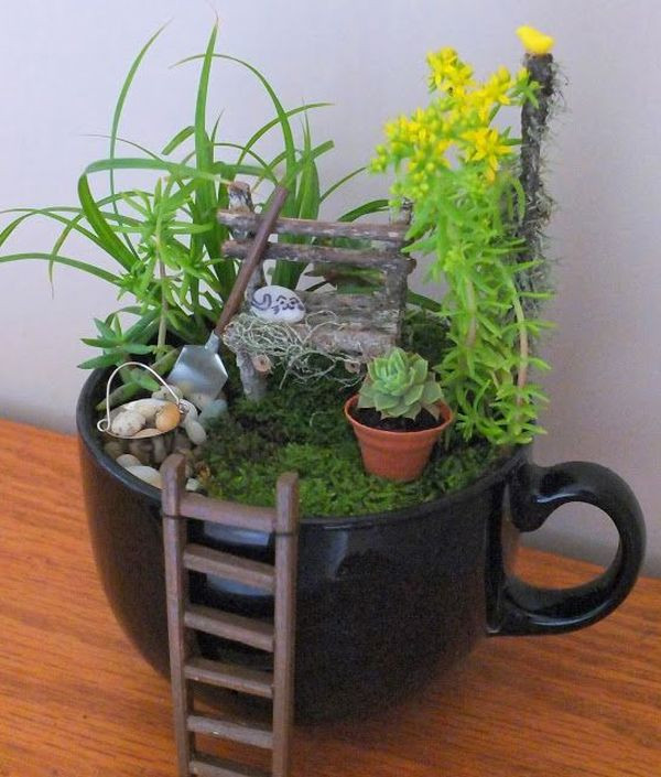 Best ideas about Indoor Fairy Garden Ideas
. Save or Pin Unleash Your Imagination – Magical Fairy Garden Designs Now.