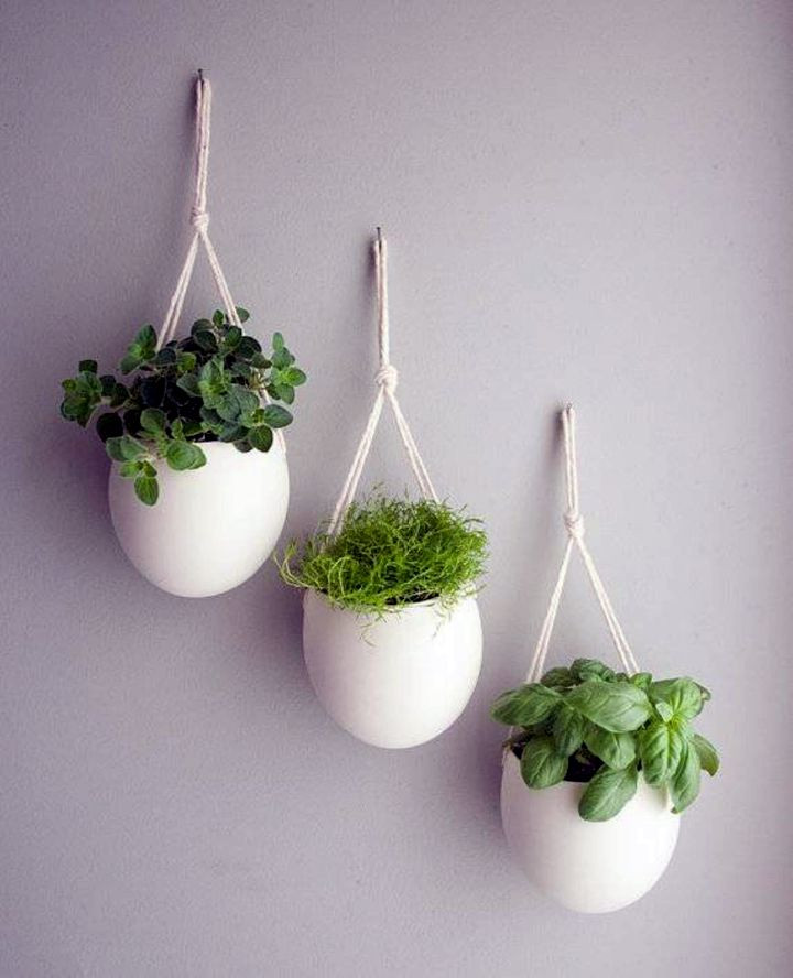 Best ideas about Indoor Hanging Planters
. Save or Pin 18 Alluring Indoor Wall Hanging Planter Designs Now.