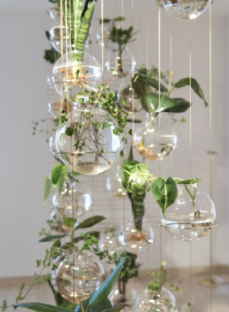 Best ideas about Indoor Hanging Planters
. Save or Pin Best 25 Indoor hanging planters ideas on Pinterest Now.