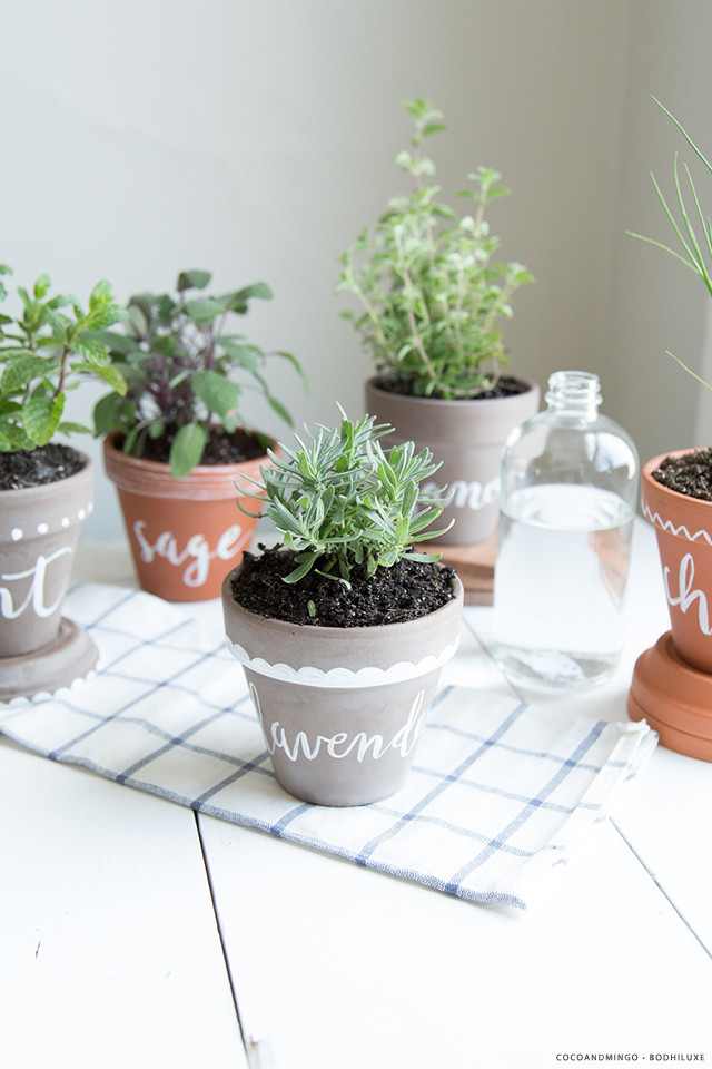 Best ideas about Indoor Herb Garden Planters
. Save or Pin 11 Indoor Herb Garden Ideas Kitchen Herb Planters Now.