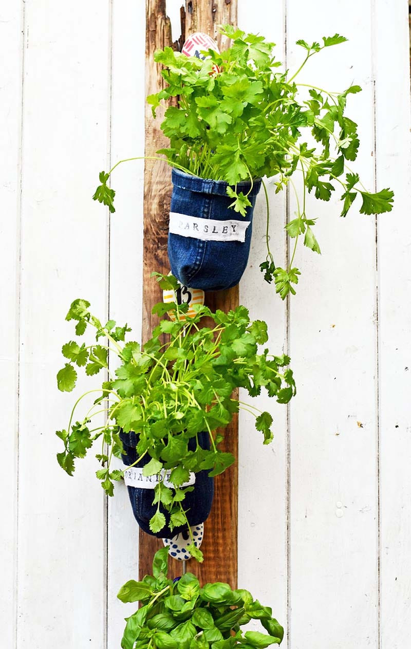 Best ideas about Indoor Herb Garden Planters
. Save or Pin How To Make Indoor Herb Garden Planters From Denim Now.