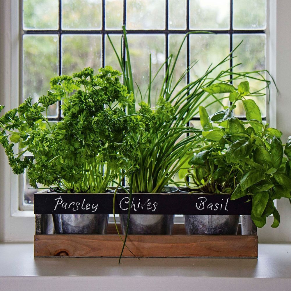 Best ideas about Indoor Herb Garden Planters
. Save or Pin Garden Planter Box Wooden Indoor Herb Kit Kitchen Seeds Now.