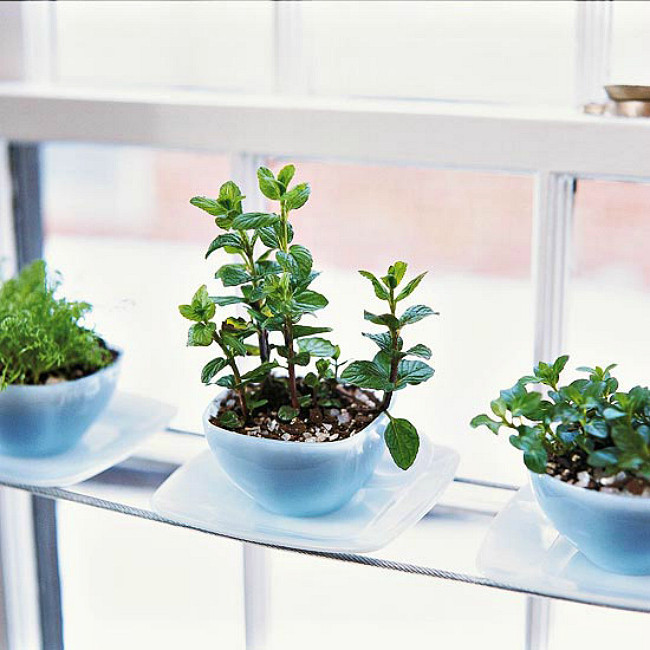 Best ideas about Indoor Herb Garden Planters
. Save or Pin 15 Phenomenal Indoor Herb Gardens Now.