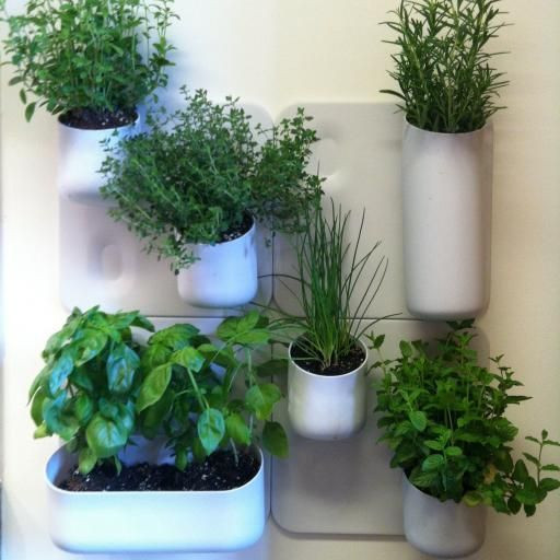 Best ideas about Indoor Herb Garden Planters
. Save or Pin Best 25 Herb wall ideas on Pinterest Now.