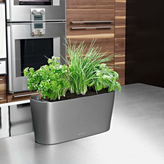 Best ideas about Indoor Herb Garden Planters
. Save or Pin self watering planter for indoor herb garden on kitchen Now.